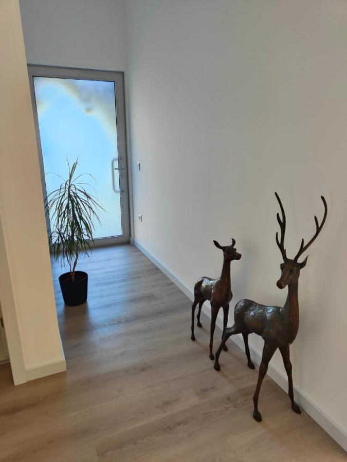 Quinta De Basto House Hotel Фелгейрас Екстериор снимка